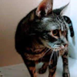 Meet your Posher, Ur mom